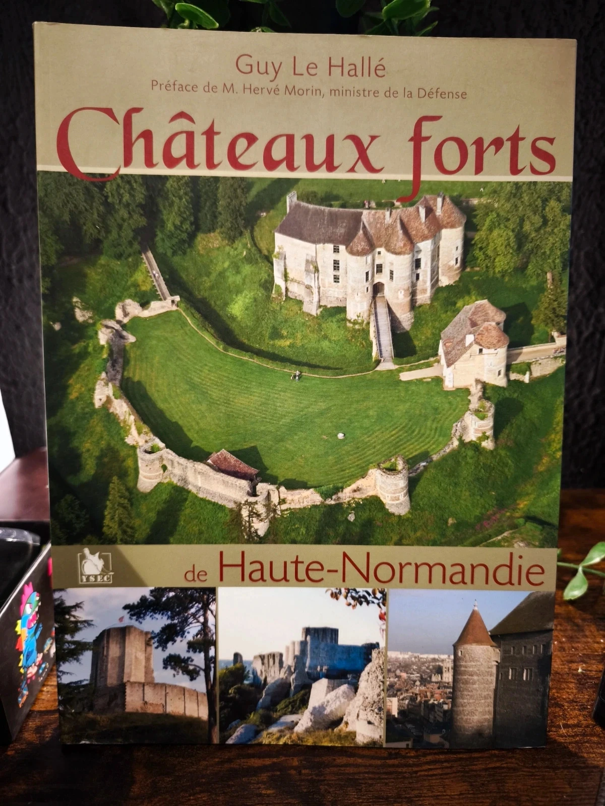Châteaux-forts de Haute-Normandie
